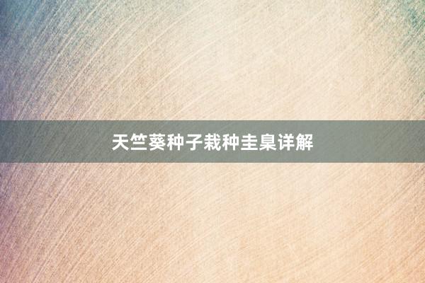 天竺葵种子栽种圭臬详解